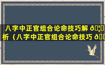 八字中正官组合论命技巧解 🦟 析（八字中正官组合论命技巧 🐋 解析大全）